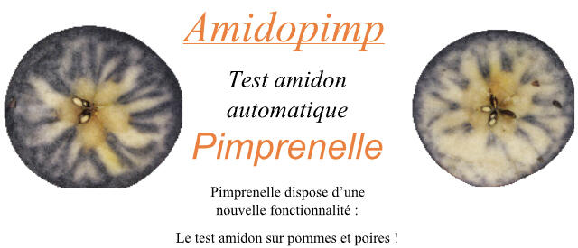 Amidopimp - Test amidon automatique
