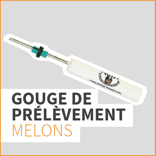 GOUGE DE PRÉLÈVEMENT MELONS