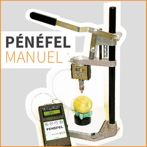 P­­ÉNÉFEL MANUEL