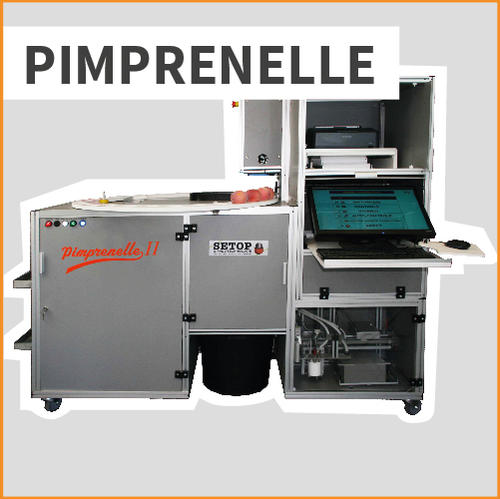 PIMPRENELLE