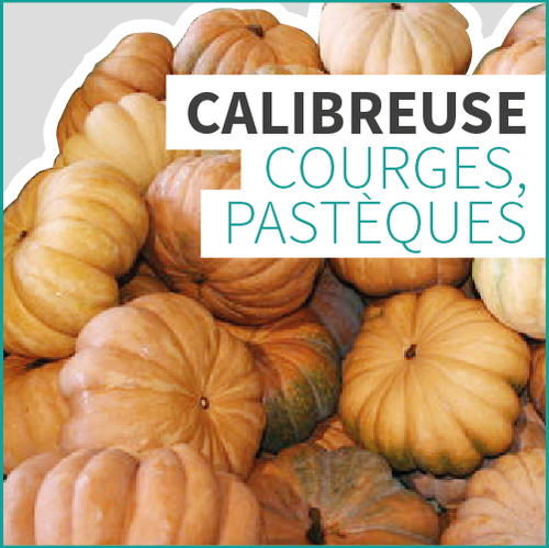 CALIBREUSE COURGES, PASTÈQUES