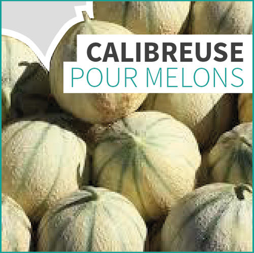 CALIBREUSE POUR MELONS