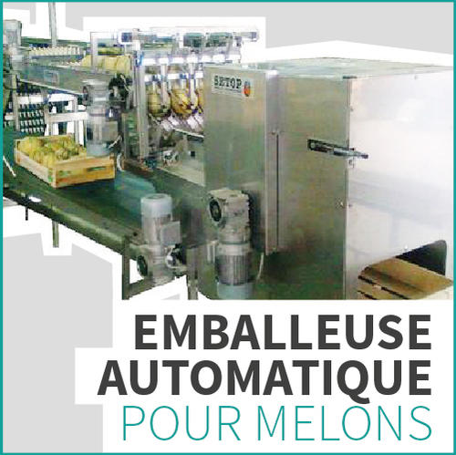 EMBALLEUSE AUTOMATIQUE POUR MELONS